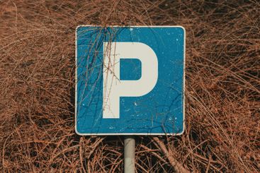 Worn parking sign against bush branches