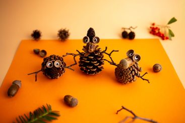 Creative arrangement of pine cones with googly eyes,...