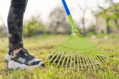 Spring cleaning in the garden, closeup rake cleaning...