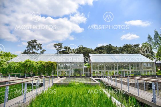 glass green house