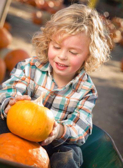 Little Boy Sitting and Holding His Pumpkin at Pumpkin...