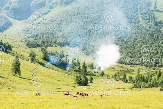 Landscape with cows and wild fire