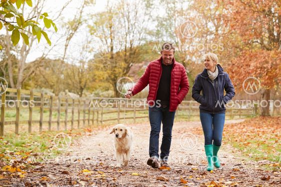Mature Couple On Autumn Walk With Labrador