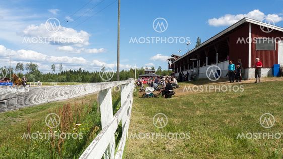 Hevonen