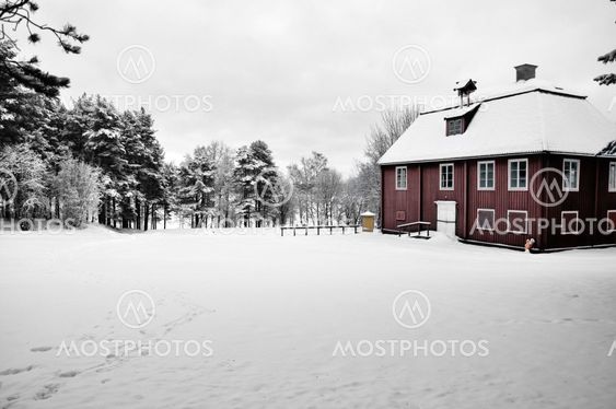 Vinterlandskap