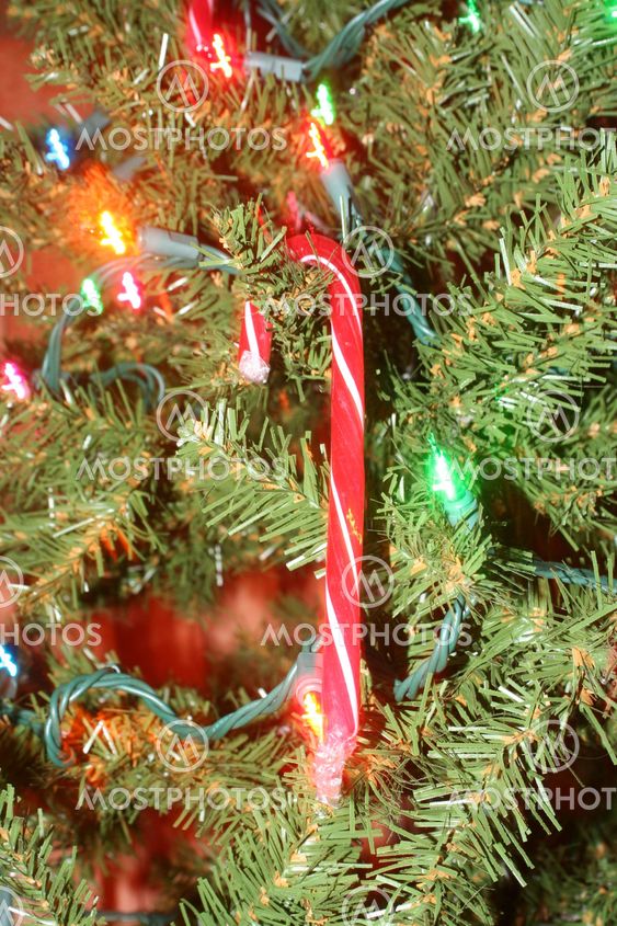 Candy Cane On Christmas Tree