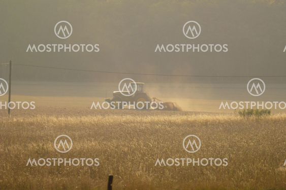 Ploughing the field