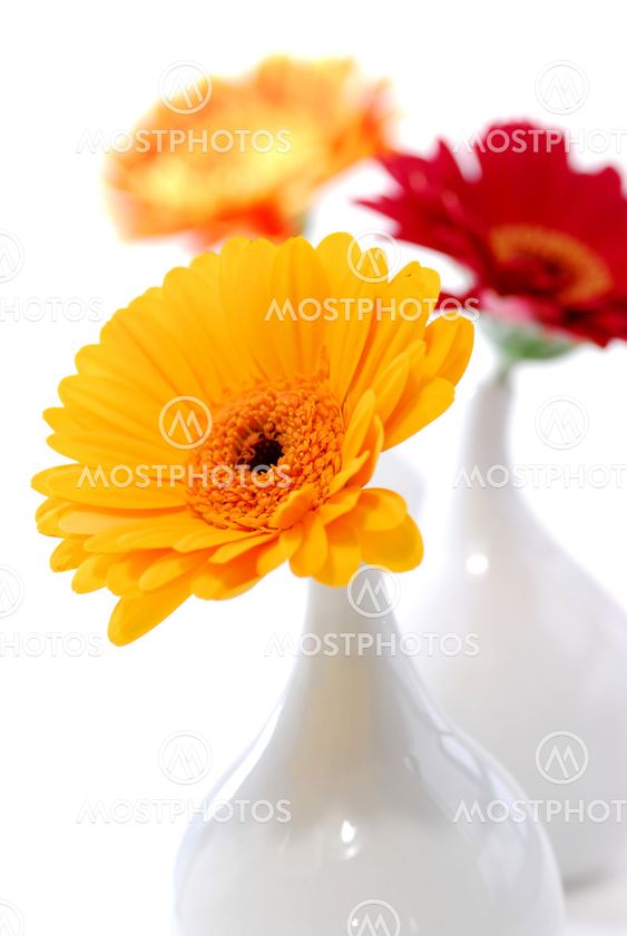Vases