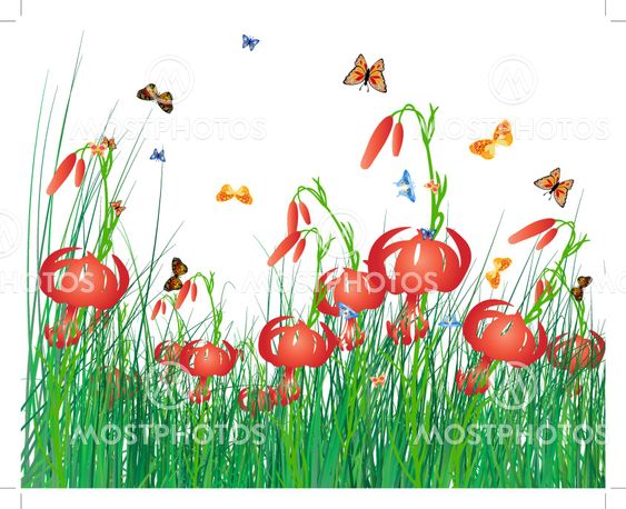 Color meadow