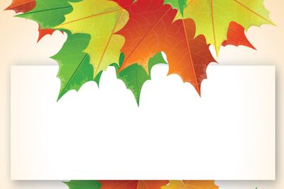 Colorful maple leaves on the greeting card.