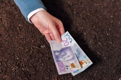 Bank loan in Swedish currency for agribusiness startup...