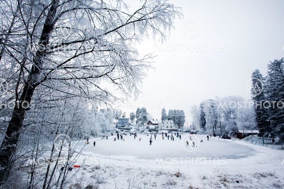 Winter Fun