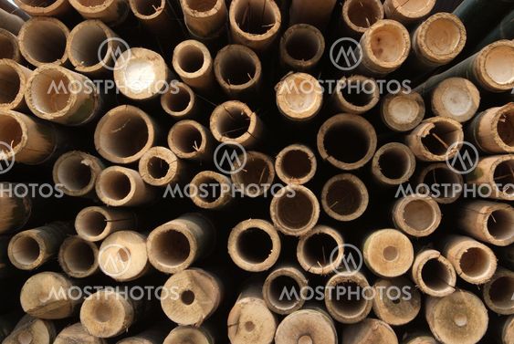 A pile of wood.