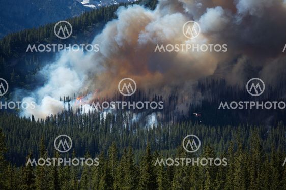 Forest fire in the Rocky Mountains