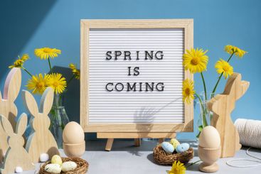 Phrase SPRING IS COMING traditional greeting to...
