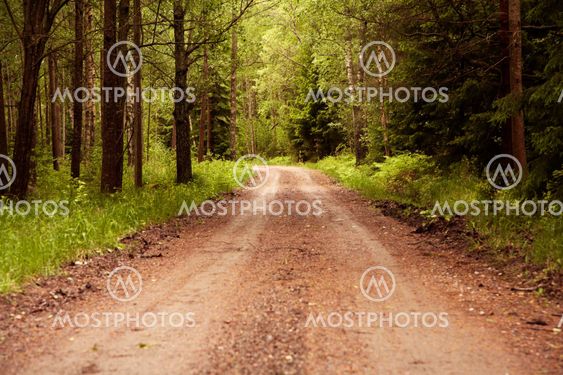 Forest Road