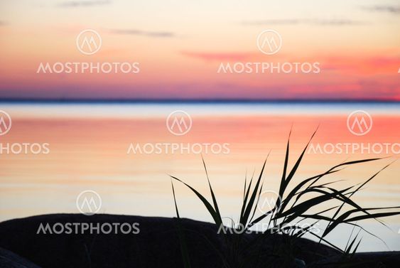 Straw silhouettes