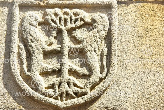 Medieval blazon in old door,Portugal.