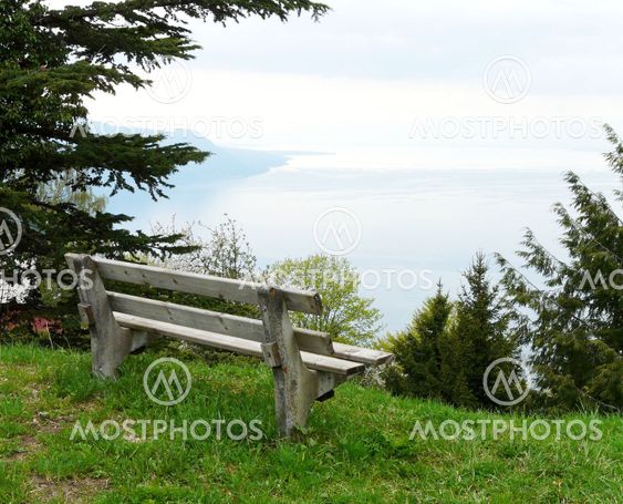 A Wooden Bench