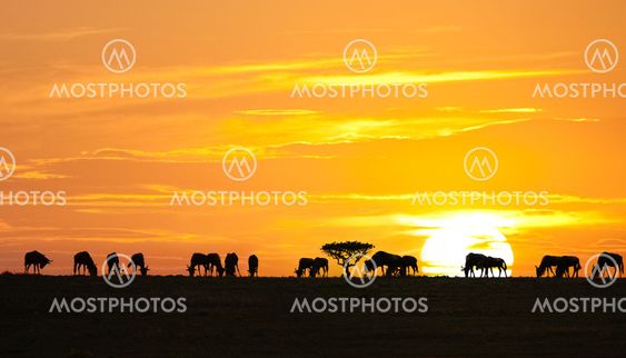 African sunrise