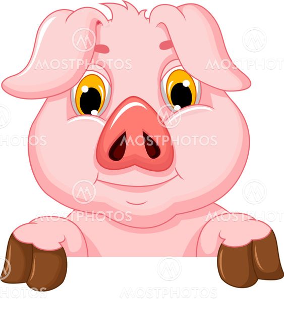 pig cartoon with blank board