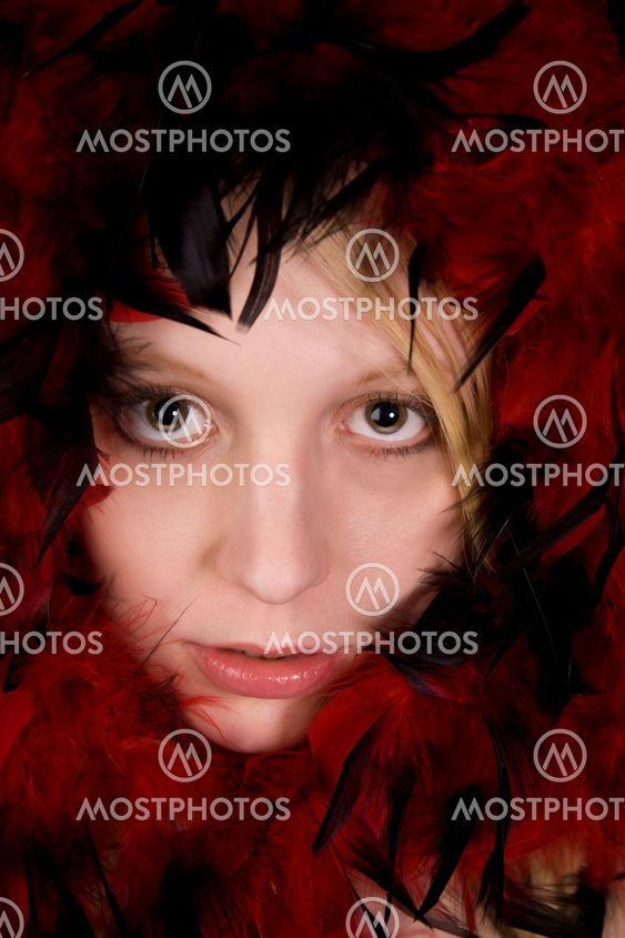 Beauty in feathers