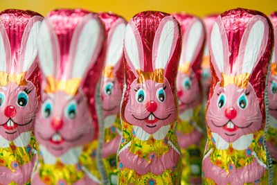 Easter Bunny or Rabbit