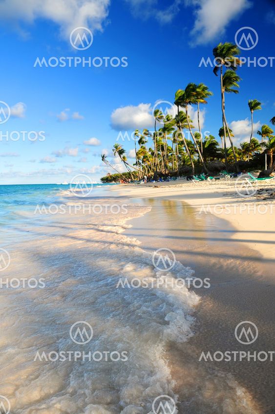 Tropical beach