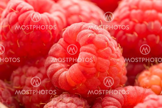 Raspberries