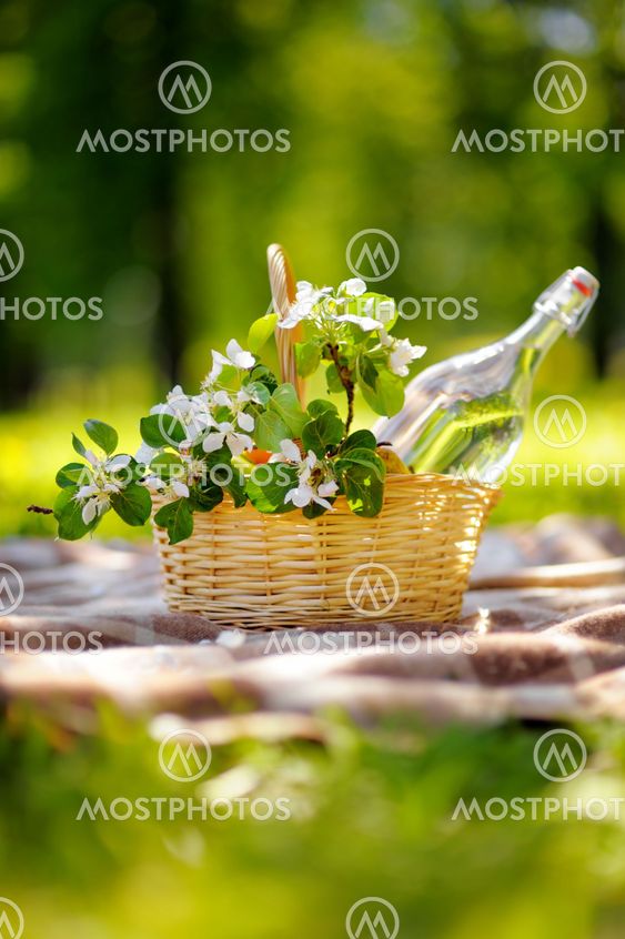Picnic basket outdoors