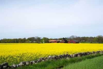 Swedish rural landscape