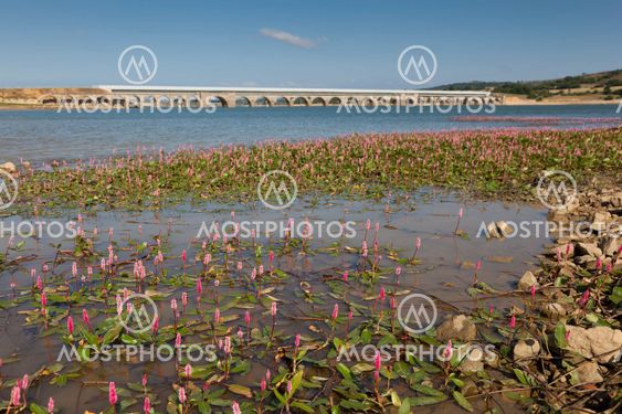 Ebro reservoir, Burgos, Castilla y Leon, Spain