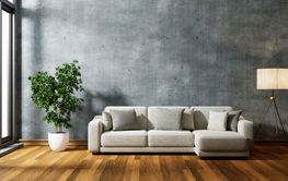 Cozy sofa in modern concrete empty room with plants...