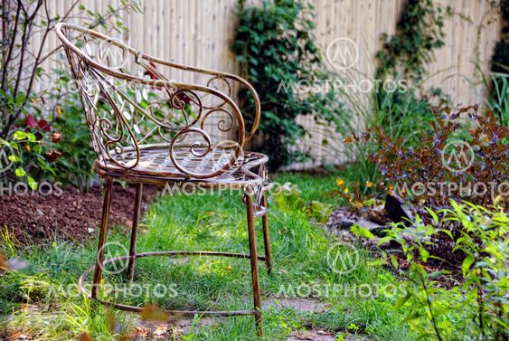 Residential landscaped garden