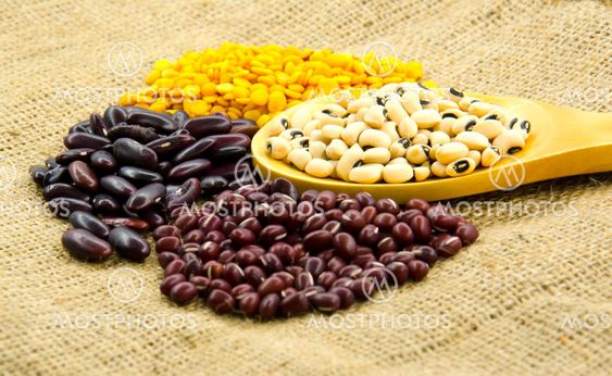 Various type of beans
