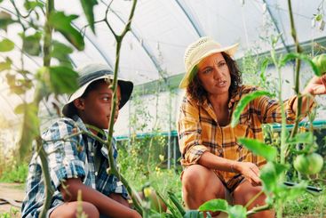 Gardening, mother and son with vegetables, help and...