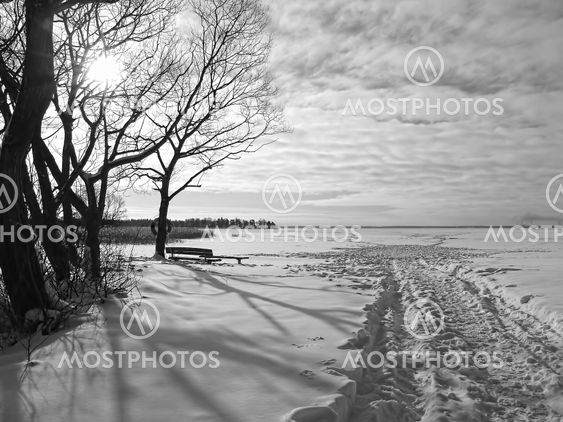 Frozen lake in winter