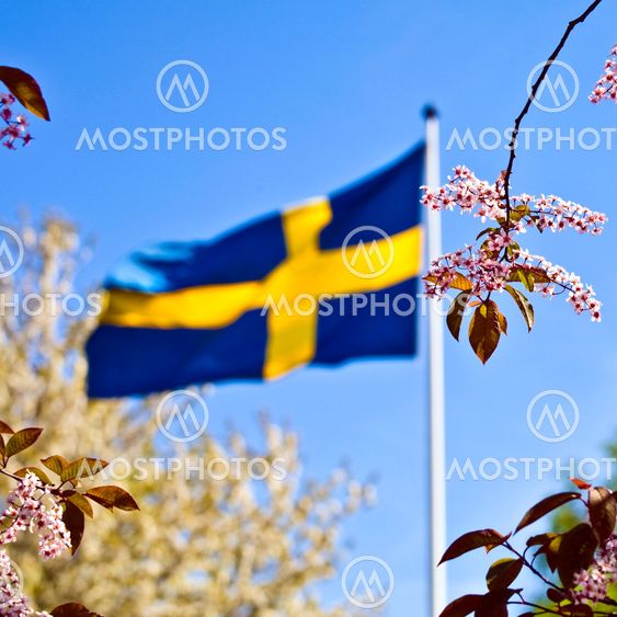 Svenska flaggan