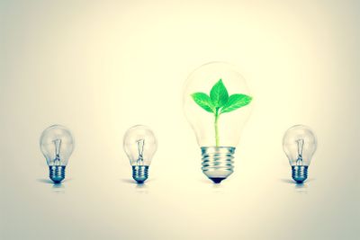 Outstanding creative idea for eco friendly background...