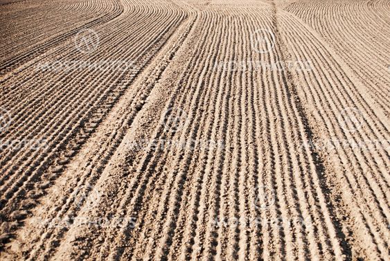 soil of an agricultural field