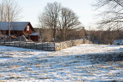 Swedish landscape in winter