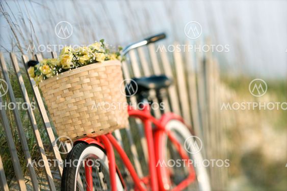 Bicycle with flowers.
