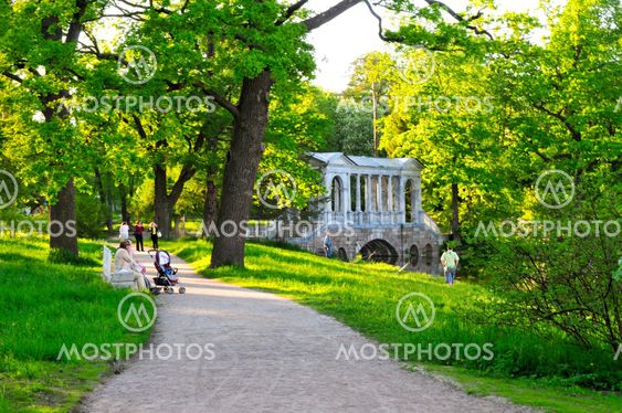 Old antique bridge in green environment , Pushkin, Russia