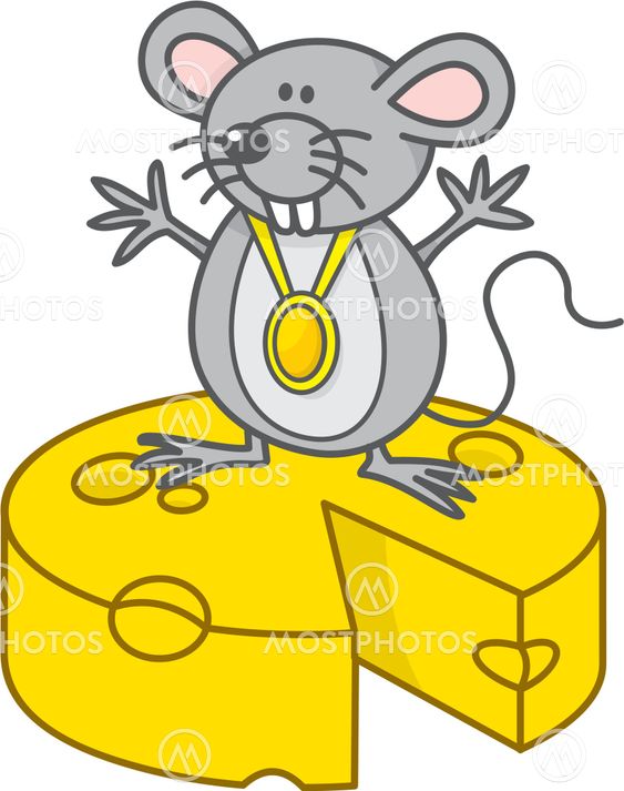 Mouse champion