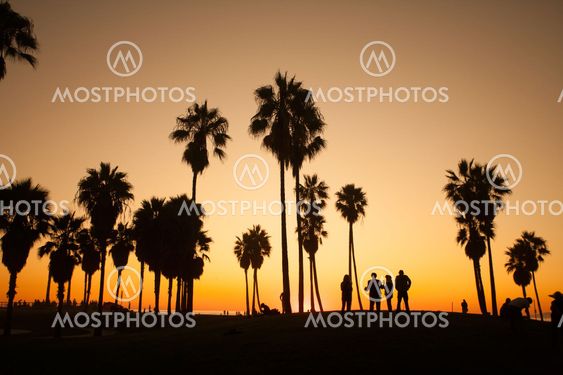 Venice Beach. Sunset. Summer concept