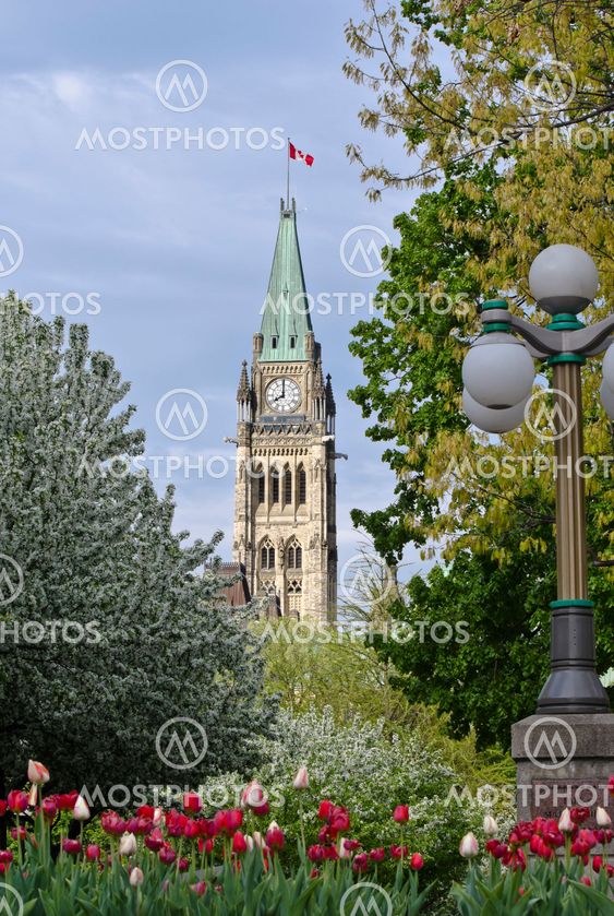 8 AM Parliament
