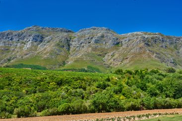 Mountain, vineyard field or path on farm for agriculture...