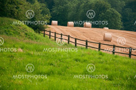 Bales of hay in a field in Switzerland