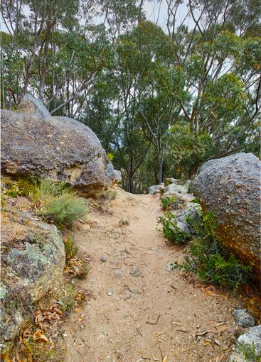 Mountain, path and rocks with trees for trekking, hiking...