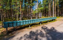 Green mailboxes lined up along a forested path in Sweden...